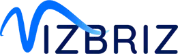 VizBriz