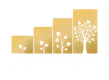 OBI שירותים פיננסים